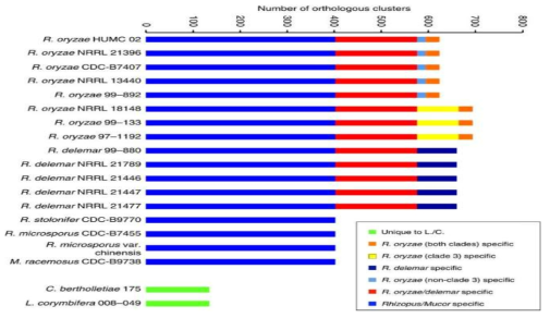 Orthologous gene cluster