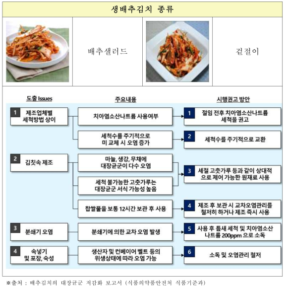 김치 대장균 저감화를 위한 Issue 도출 및 권고안