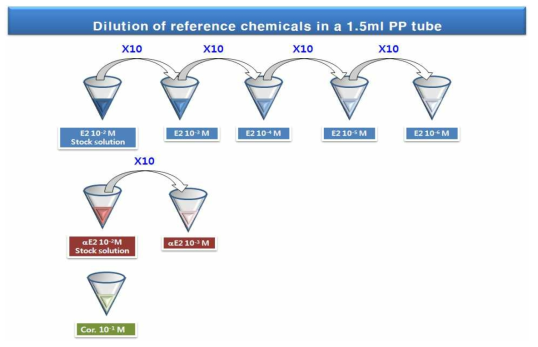 1.5 mL PP tube에서 표준물질의 희석 과정