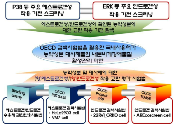 연구 추진 전략 및 체계도