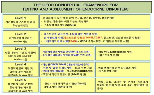 내분비계장애물질의 시험 및 판정을 위한 OECD 개념도