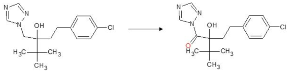 Tebuconazole 유래 활성 대사체 후보물질(m/z 324)의 예상 구조