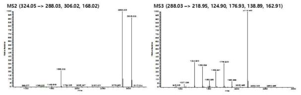 Tebuconazole 유래 활성 대사체 후보물질(m/z 324)의 fragmentary pattern