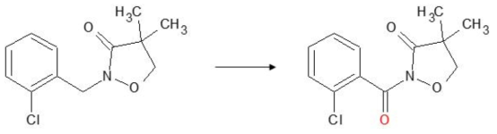 Clomazone 유래 활성 대사체 후보물질(m/z 256)의 예상 구조