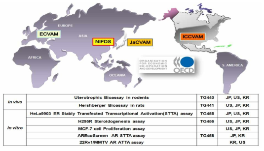 식약처의 OECD 내분비계장애추정물질 검색시험법 국제검증연구 참여 현황