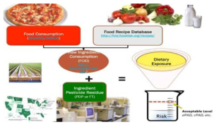 식이노출량 평가 모델