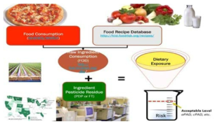 식이노출량 평가 모델