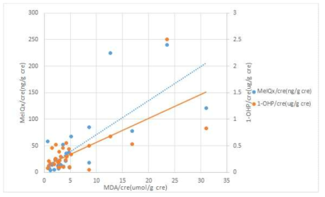 MeIQx, MDA, 1-OHP사이의 양의 관계