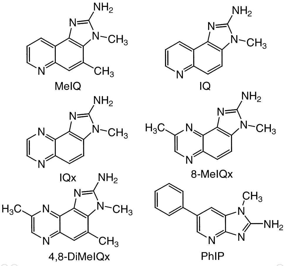 식이유래 발암성, 돌연변이원성 heterocyclic amines (HCAs)