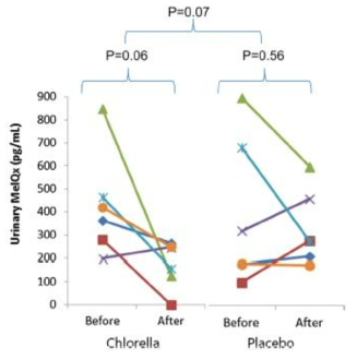 인체실험- 클로렐라섭취에 의한 발암성 HCA의 하나인 2-amino-3,8-dimethylimidazo [4,5-f]quinoxaline (MeIQx)의 감소(해독화)