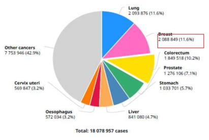 전 세계 암 종별 발생건수, 2018년