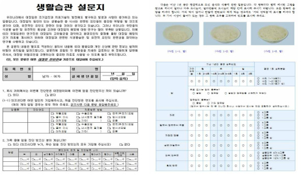 1차 년도 생활습관 설문지의 설문항목