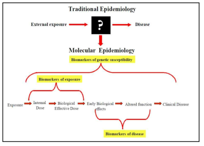 생체지표(biomarkers)는 분자역학연구가 추구하는 노출에서 질병사이의 ‘블랙박스’를 설명하는 핵심도구임