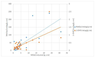 MeIQx, MDA, 1-OHP사이의 양의 관계