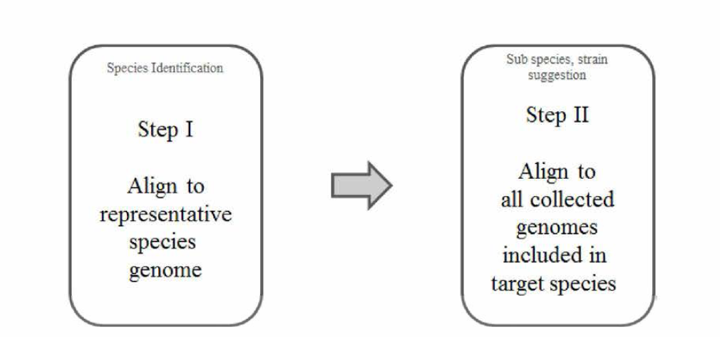 세부 품종 구분의 정확도를 높이기 위해 추가 분석 파이프라인을 지정하였다. 1단계에서 유사 종이 검출되는 경우 2단계를 통해 subspecies 구분 및 후보 strain을 제시하였다