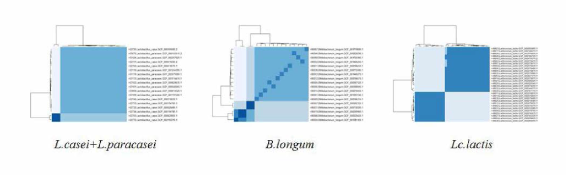 95% ANI 필터링 없이 ANI pairwise 값을 확인한 결과 총 5개의 종에 서 내부 그룹이 갈라졌다. 이 때 B.longum의 경우 97% ANI를 기준으로 세 그룹으로 묶였으며, 나머지 종은 95% ANI 기준으로 두 그룹으로 묶였다