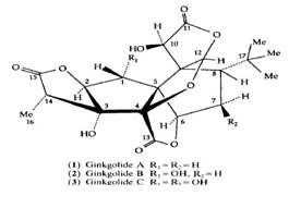 Ginkgolide A, B, C의 구조