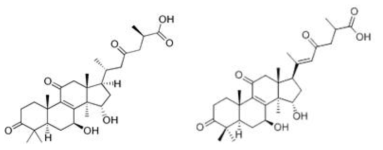 Ganoderic acid A와 ganoderenic acid A 구조