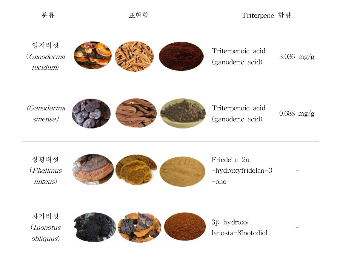 버섯류의 triterpene 함량 비교