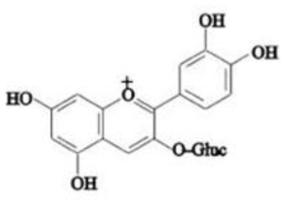 cyanidin-3-O-glucoside chloride의 구조