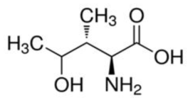 4-hydroxyisoleucine 구조