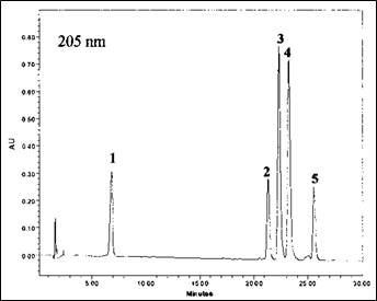 Chromatogram(205 nm)