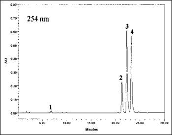 Chromatogram(250 nm)