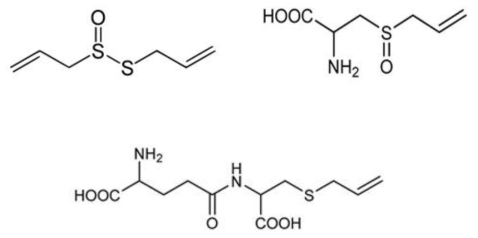 Allicin(Diallyl thiosulfinate, Alliin(S-allyl-L-cysteine sulfoxide, γ-glutamyl-(S)-allyl-L-cysteine 구조
