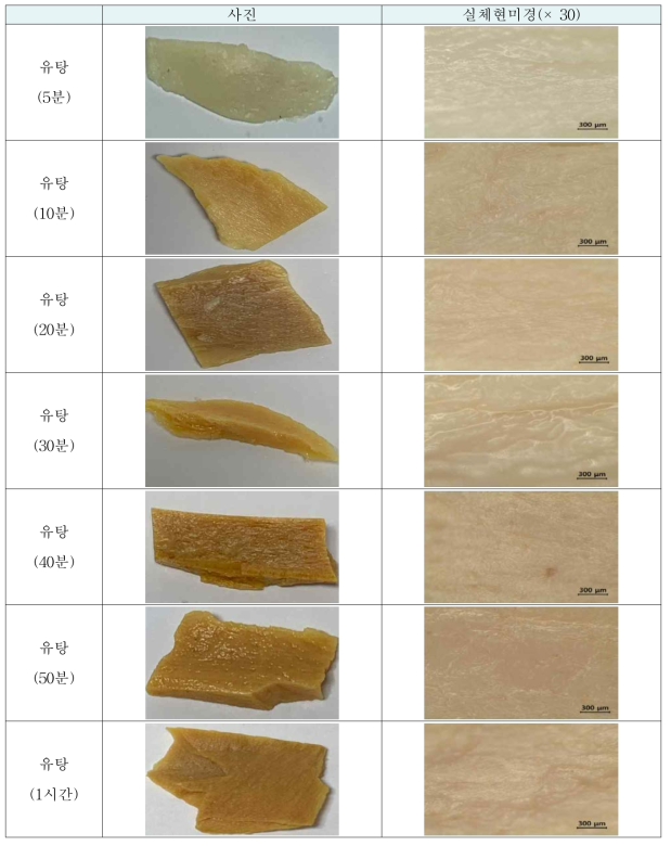 제조단계(유탕)시 소 뼈의 형태학적 특성