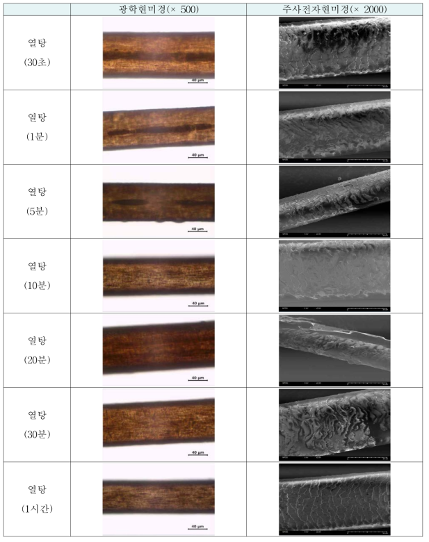 제조단계(열탕)시 머리카락의 형태학적 특성