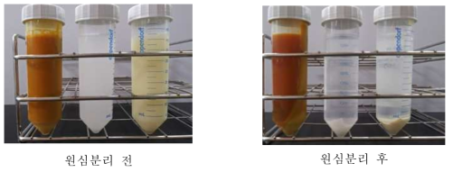 원심분리 여부에 따른 시료용액상태