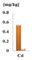 용매 추출에서 아마씨(주황)와 아마씨유(살구)의 Cd 농도