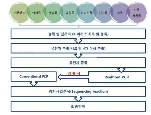 바이러스에 의한 식중독 원인조사 시험법 검사 방법