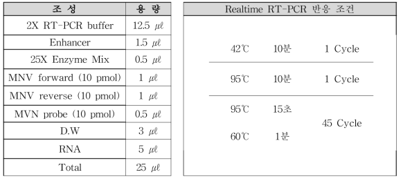 뮤린 노로바이러스 Realtime RT-PCR 조건