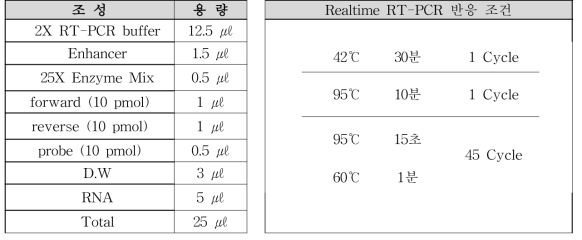 노로바이러스 Realtime RT-PCR 조건