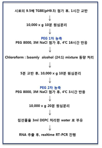 최종 선정된 상추 노로바이러스 전처리 시험법