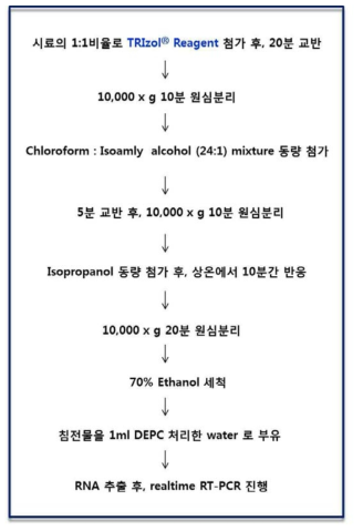 최종 선정된 단무지 노로바이러스 전처리 시험법