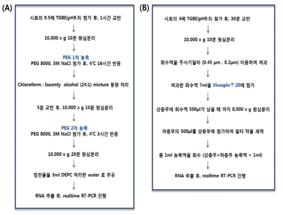 최종 선정된 김밥 노로바이러스전처리시험법: (A): PEG 농축법, (B): Ultrafiltation 방법