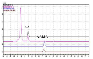 AA 및 AAMA의 크로마토그램