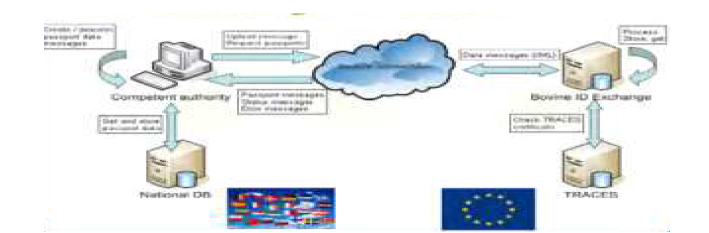 TRACES - BOVEX 시스템 출처: TRACES Tookit, European Commission