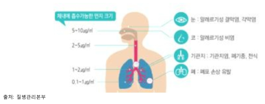 미세먼지가 건강에 미치는 영향