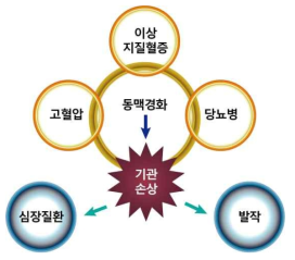 고혈압의 합병증 자료: 김미경 외. 건강기능식품. ㈜교문사, 2010