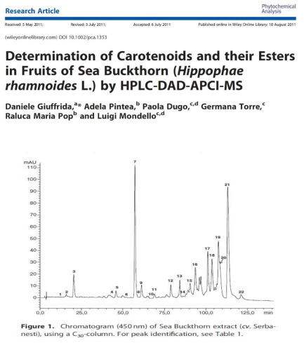문헌 내 산자나무 열매 시험법 출처: Giuffrida et al, Phytochemical Analysis, 23, 2012
