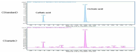 표준품과 에키네시아 시료의 크로마토그램