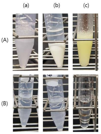 (a) 아세톤, (b) 헥세인, (c) 피리딘에서의 (A) 카제인, (B) 이산화규소 용해도 확인 사진