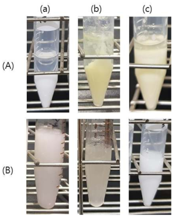 (a) 아세톤, (b) 클로로포름, (c) 피리딘에서의 (A) 카제인, (B) 이산화티타늄 용해도 확인 사진