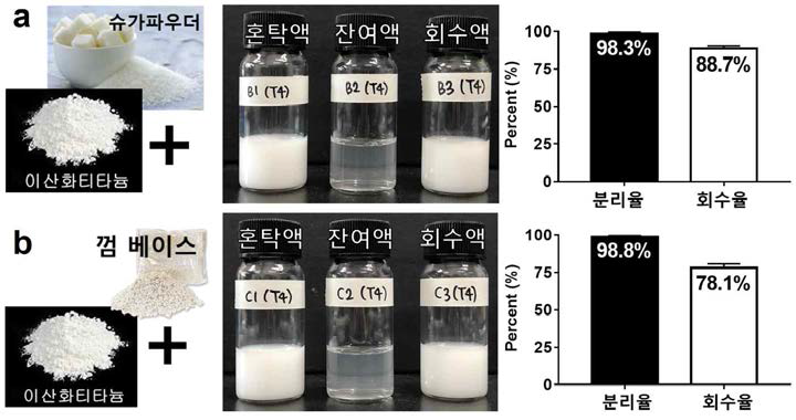 (a)슈가파우더와 (b)껌베이스 내 이산화티타늄 자성분리 및 회수효율