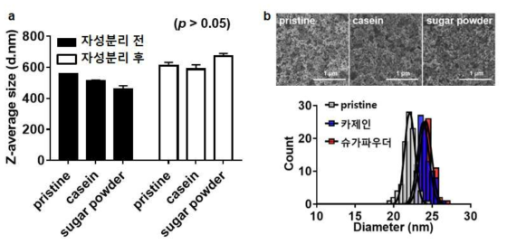 모사식품으로부터 회수한 이산화규소의 입자크기 측정 결과 (a) 동적 광산란, (b) 주사전자현미경을 통한 입자크기분포도