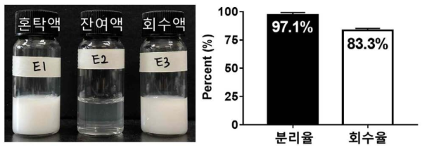 껌 시료 내 이산화티타늄 자성분리 및 회수 결과