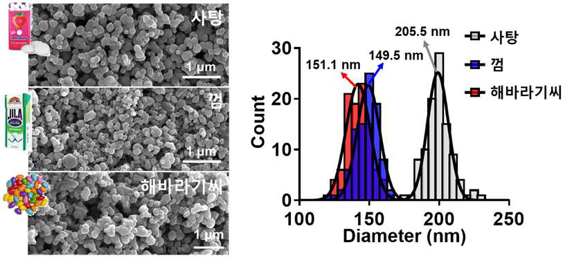 실제 식품으로부터 자성분리 및 회수한 이산화티타늄 나노입자를 주사전자현미경 및 입자크기분포도